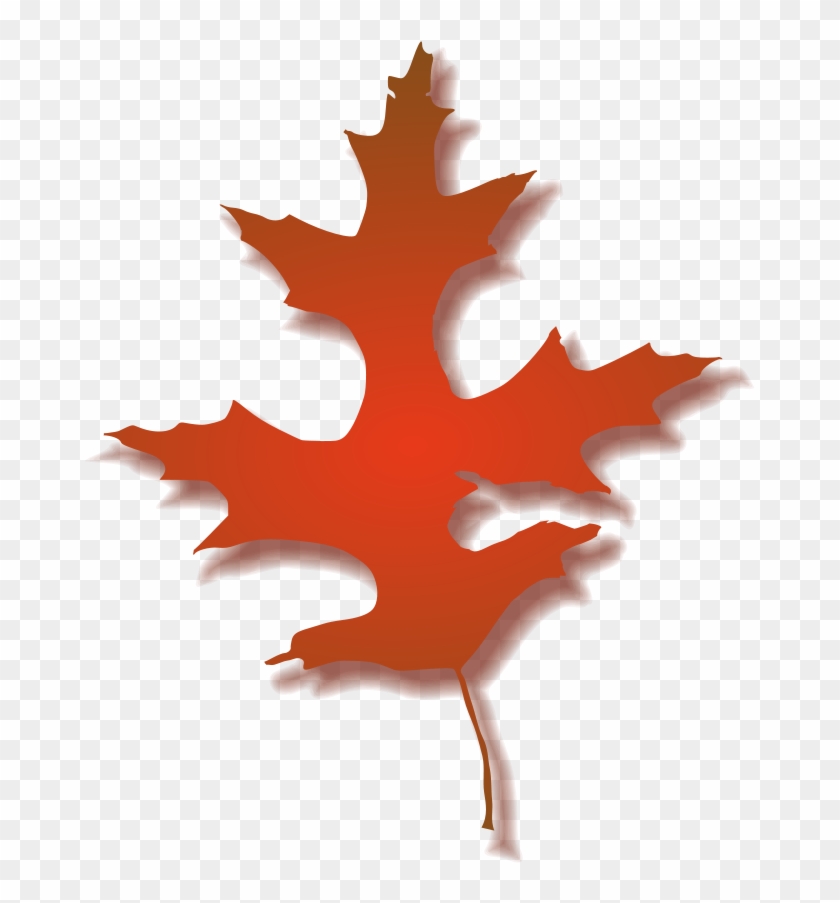 There Is 51 Fall Oak Tree Free Cliparts All Used For - Fall Oak Leaf Clipart #271193