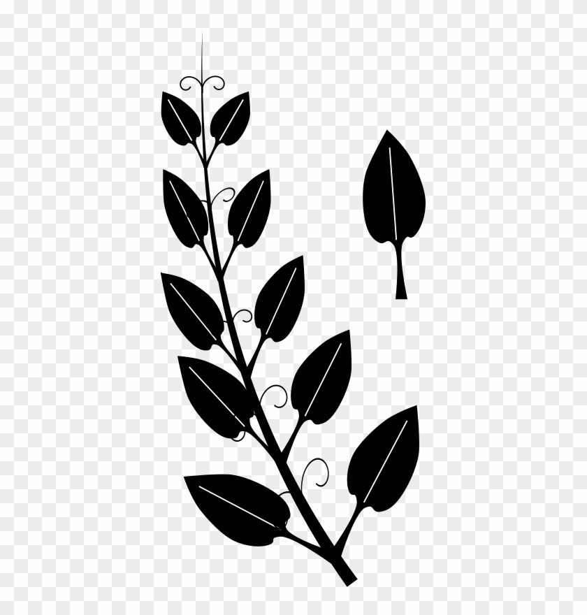 Vine Tendril Leaf Ivy Clip Art - Tendril #271254