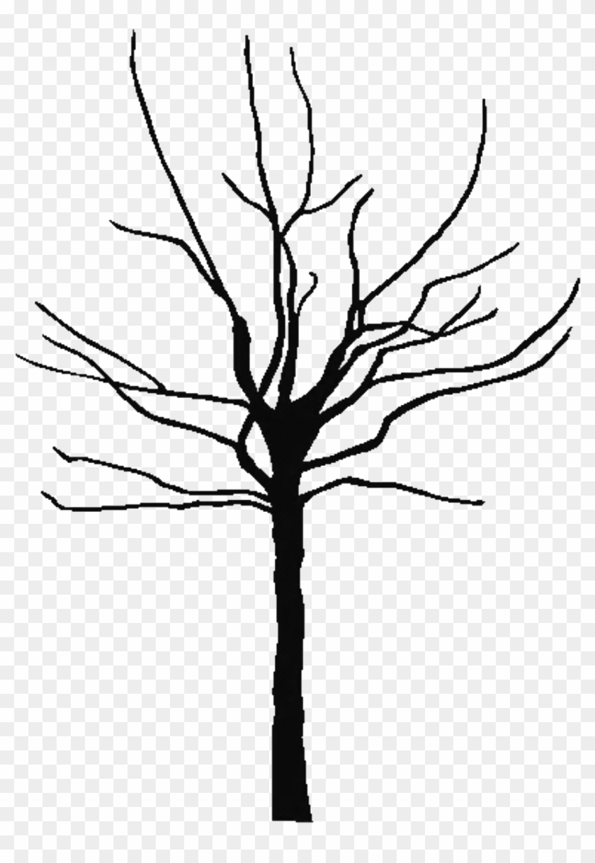 Black - And - White - Bare - Tree - Clipart - Bare Clipart Tree #271371