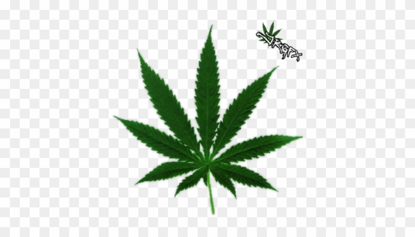 Marijuana Leaf Clip Art - Cannabis Leaf #271380