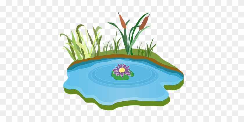 Pond Water Outdoor Grass Outdoors Foliage - Pond Clip Art Free #271383