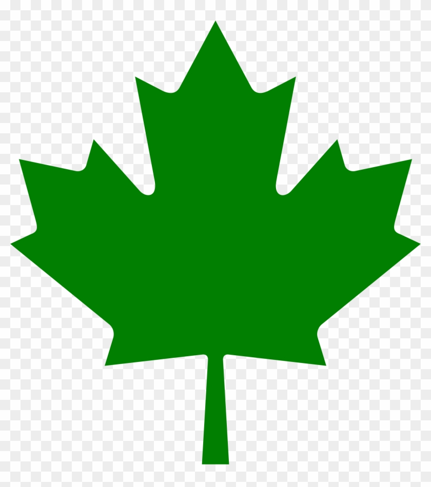 Willpower Images Of Canadian Maple Leaf File Green - Canadian Maple Leaf Green #271394