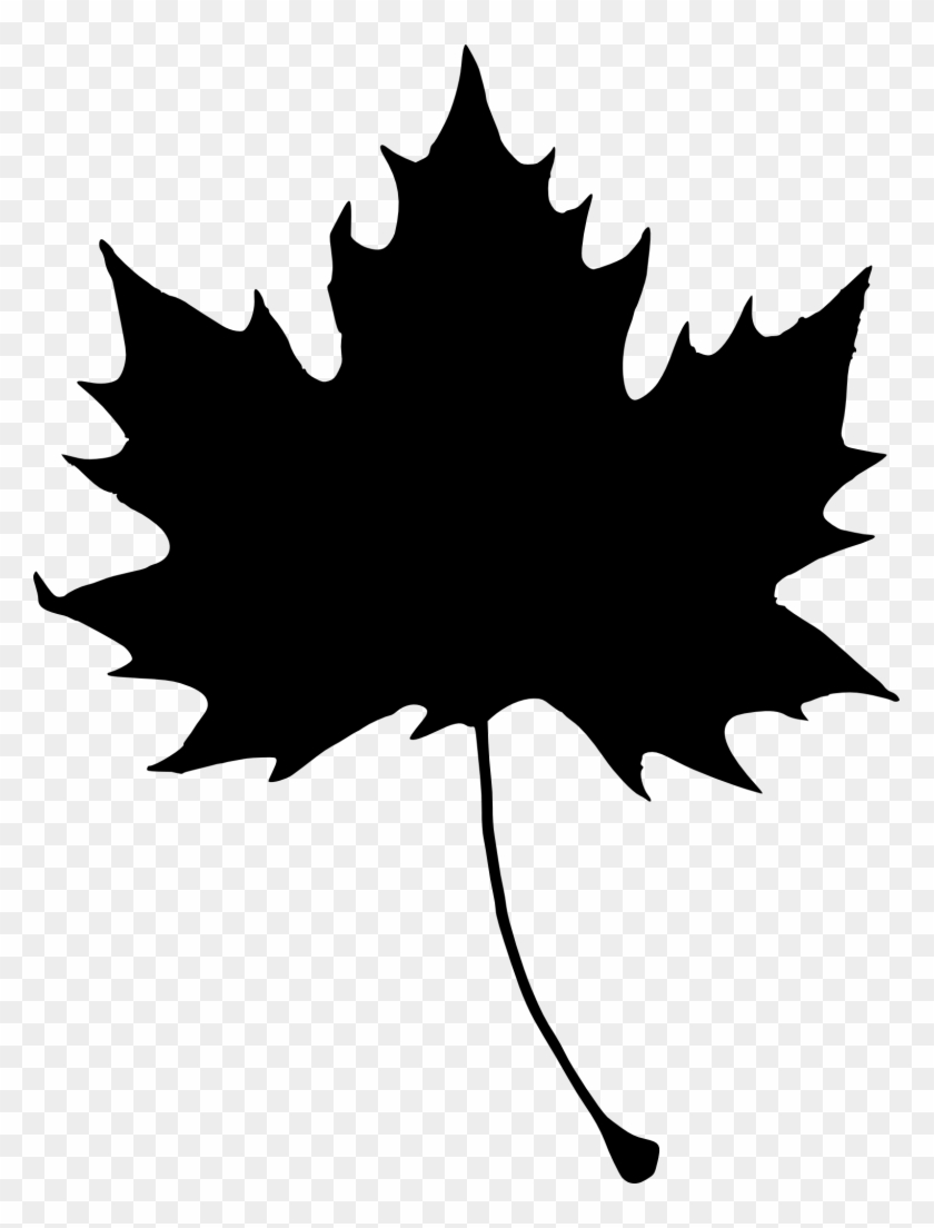 1522 × 2000 Px - Maple Leaf #271402