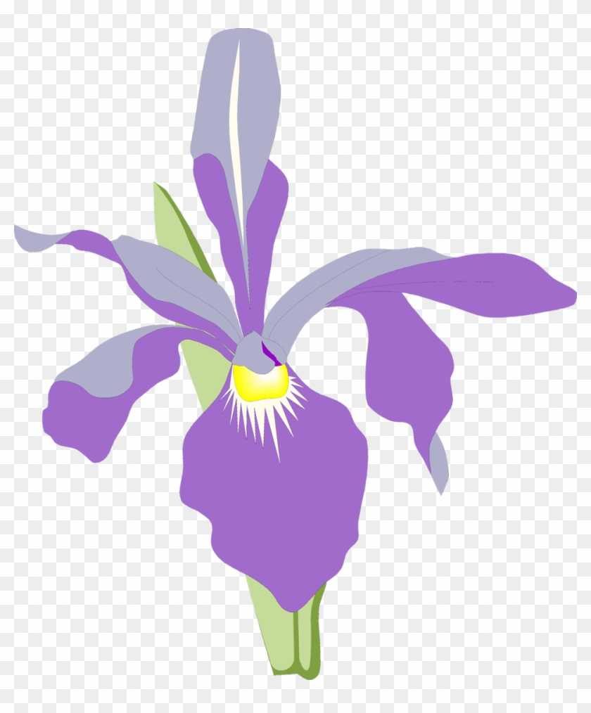 Orchid Free Stock Photo Illustration Of A Purple Orchid - Purple Orchid Clipart #271403