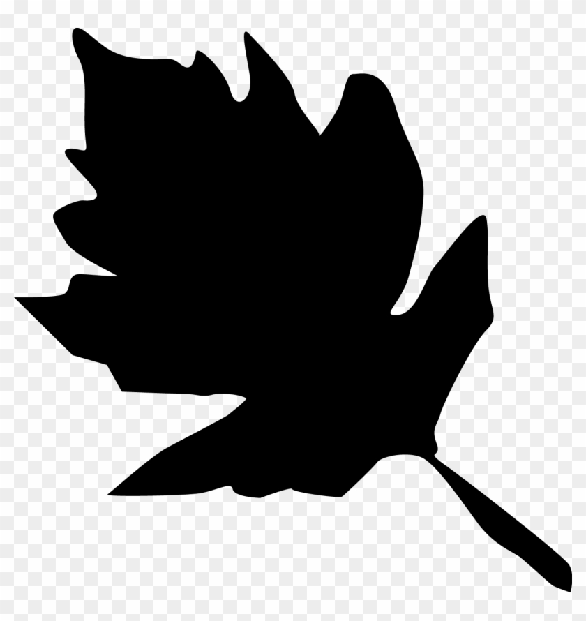 Free Vector Leaf Silhouettes Free Vector Graphics - Plant Leaves #271435