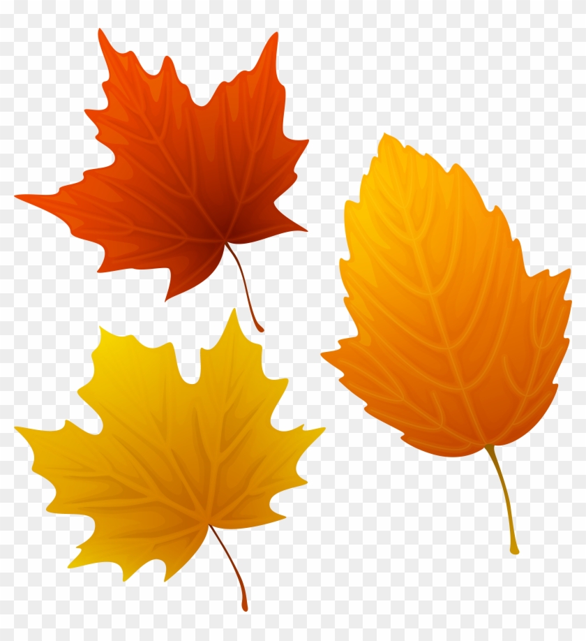 Top 88 Autumn Leaves Clip Art - Herbstbilder Clipart #271446