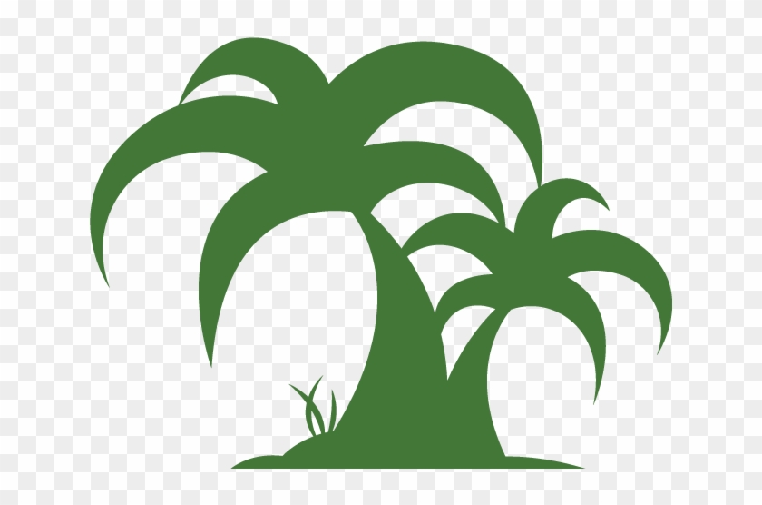 Home - Hanson Palms - Palm Trees #271478