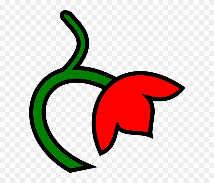 Red, Green, Leaf, Flower, Down, Color, Plant - Clip Art #271486