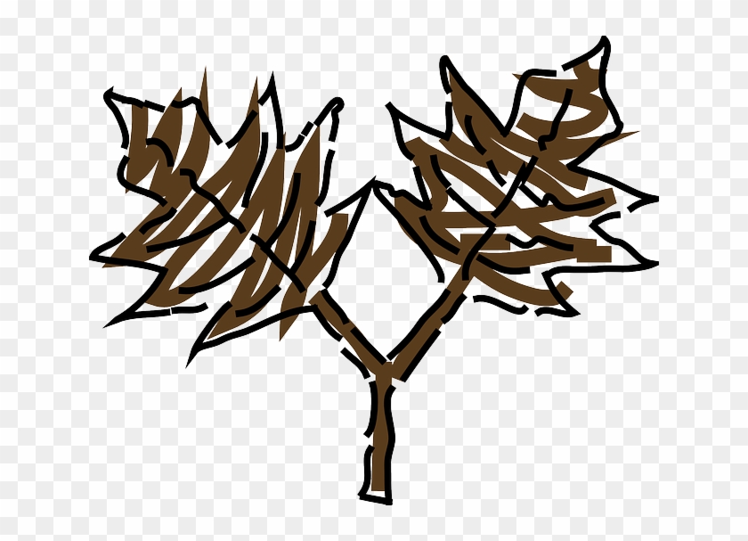 Brown, Green, Leaf, Tree, Plant, Leaves, Oak, Stem - Clip Art #271515