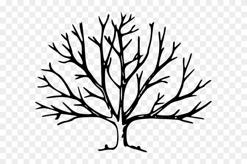 Bare Tree Clip Art At Clker - Bare Tree #271529