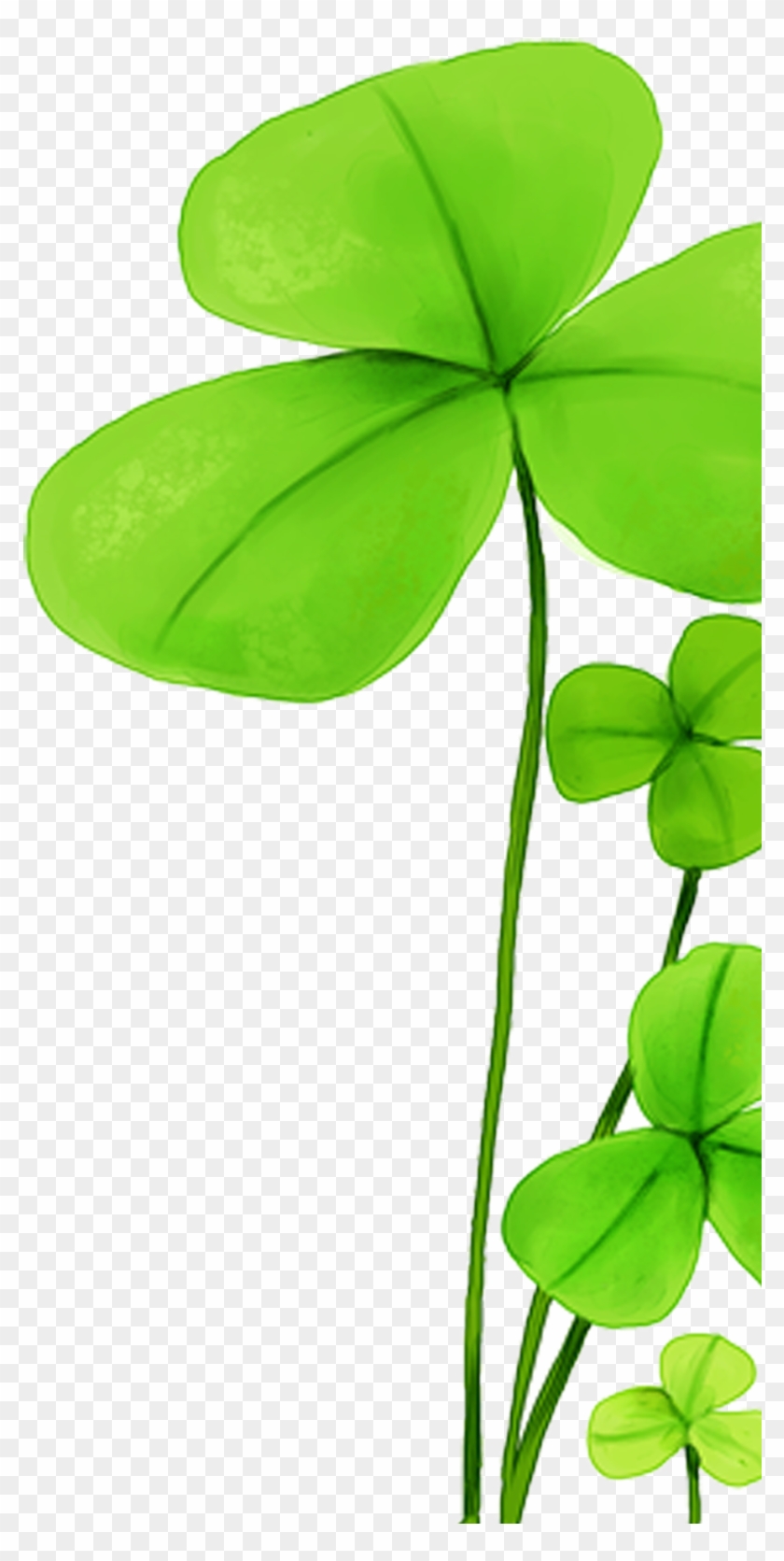 Clover Hd Clips 887*1732 Transprent Png Free Download - Clover Hd Clips 887*1732 Transprent Png Free Download #271646