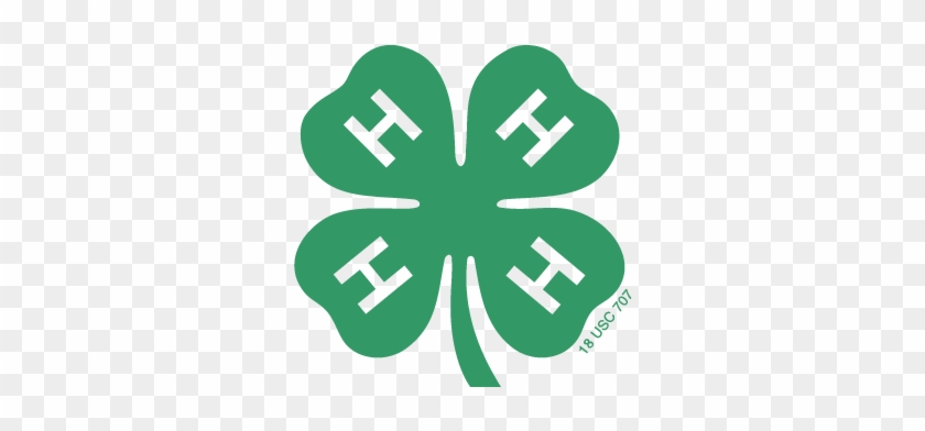 Everything You Need To Know For 4-h In Grafton County - Official 4 H Clover #271647