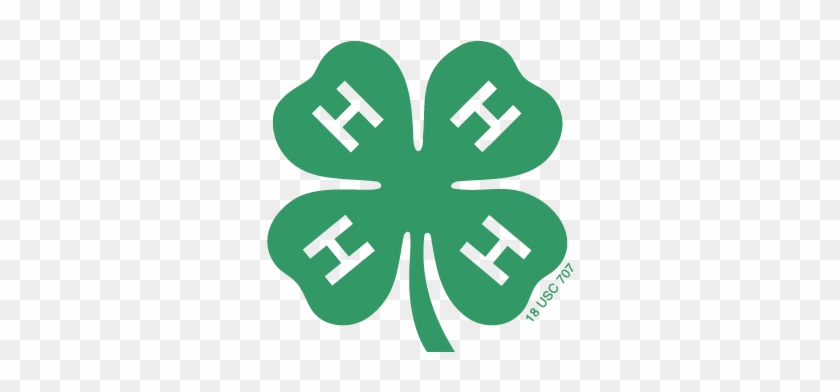 Everything You Need To Know For 4-h In Grafton County - Official 4 H Clover #271647