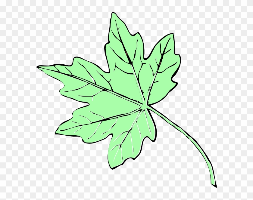 Light Green Maple Leaf Clip Art - Fall Leaves Clip Art #271661