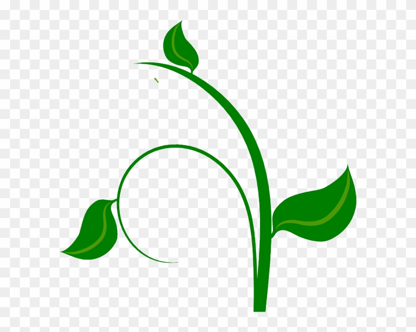 Green Leaf Vector Png #271679