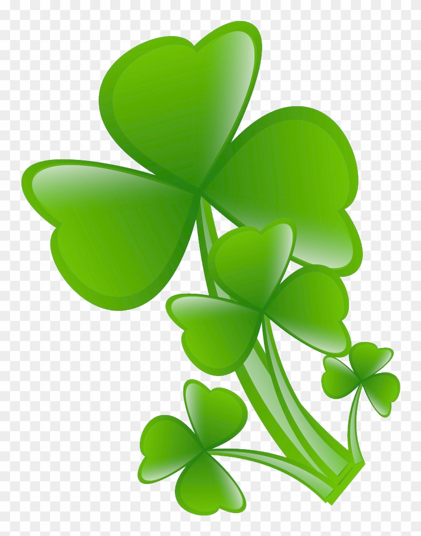 White Clover Four-leaf Clover - Clover #271691