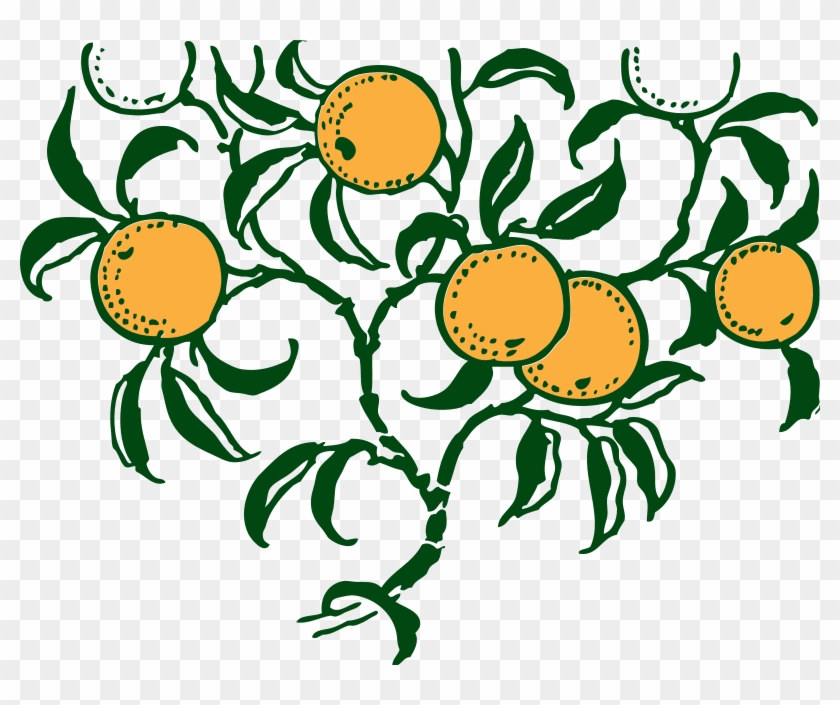 Branch Clip Art Download - Orange Tree Vector Art #271723