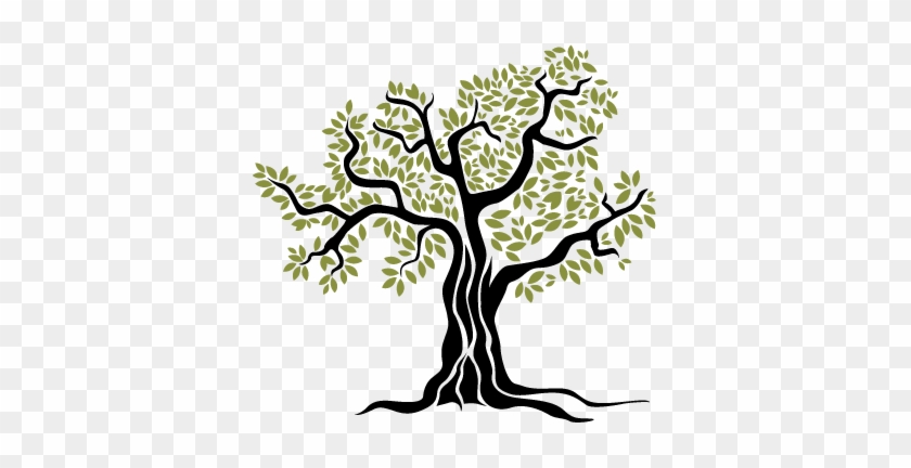 Arbol Del Olivo - Olive Tree Vector Png #271725