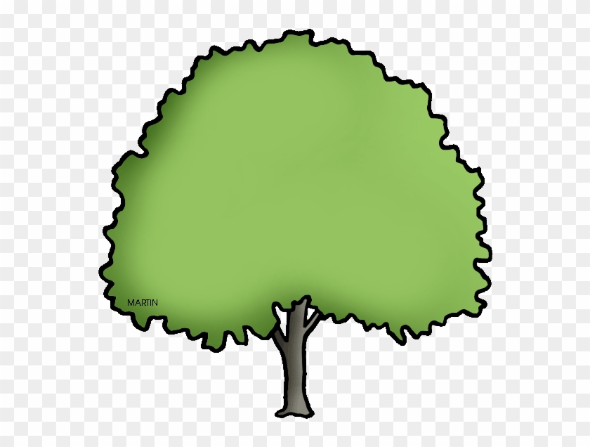 State Tree Of North Dakota - North Dakota State Tree #271726