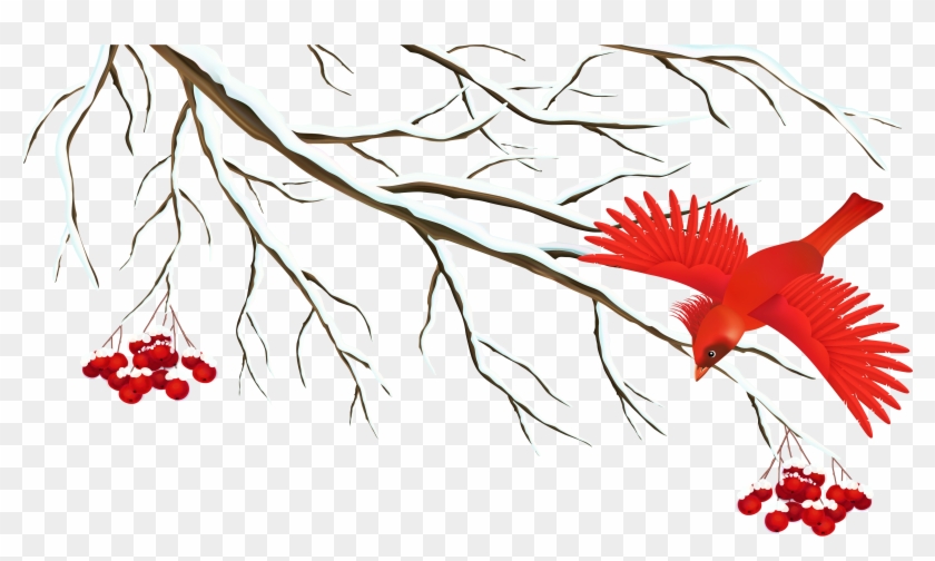 Winter Snowy Branch With Bird Png Clipart Image - Winter #271735