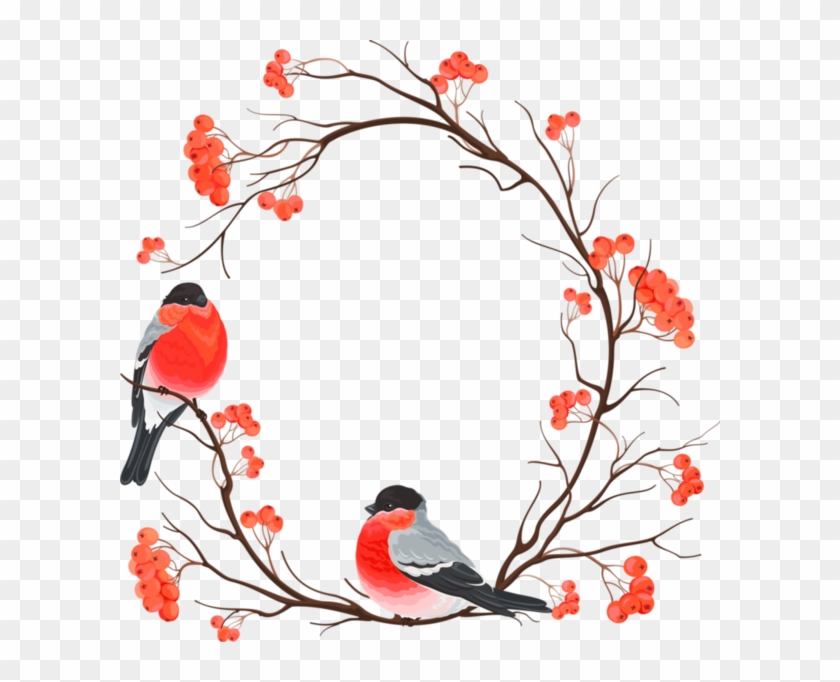 Winter Bird Robin Branch Berry Winter Birds - Cheap Summer Women's T Shirt Floral Birds Pattern T #271744