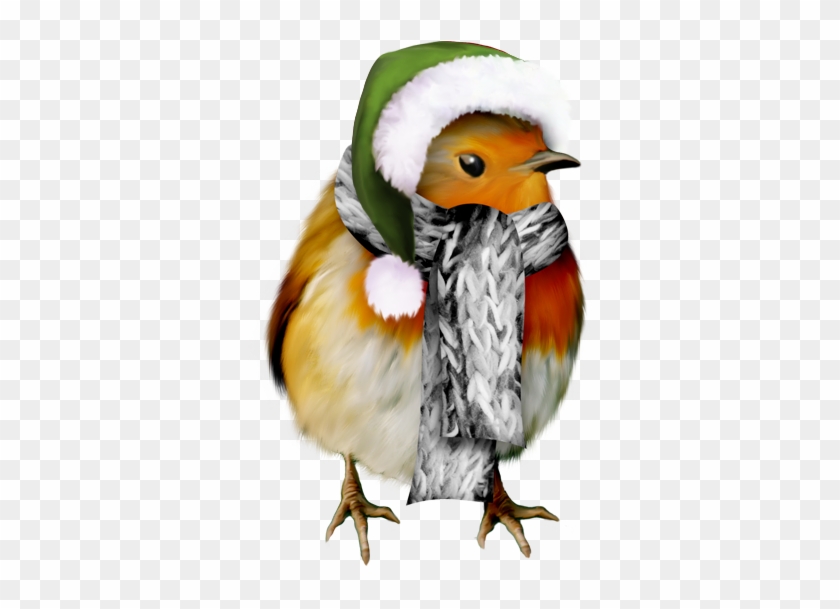 Winter Bird Clip Art - Pre-cut Winter Robin Edible Rice / Wafer Paper Cupcake #271748