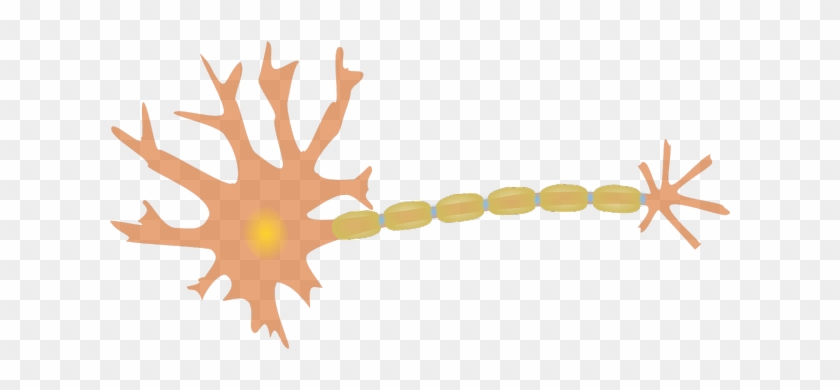 Neuron - Neuron Clipart #271829