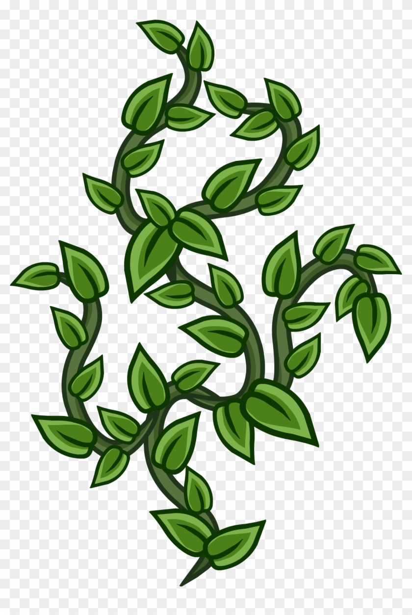 Vines - Vines Png #271873
