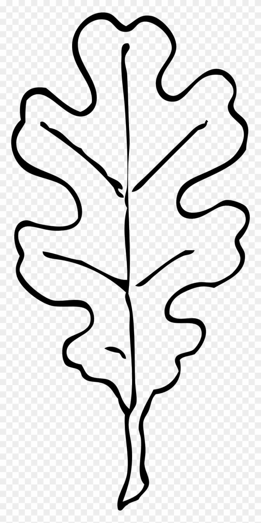 Oak Tree Clip Art Silhouette - Oak Leaf Clip Art Black And White #271882