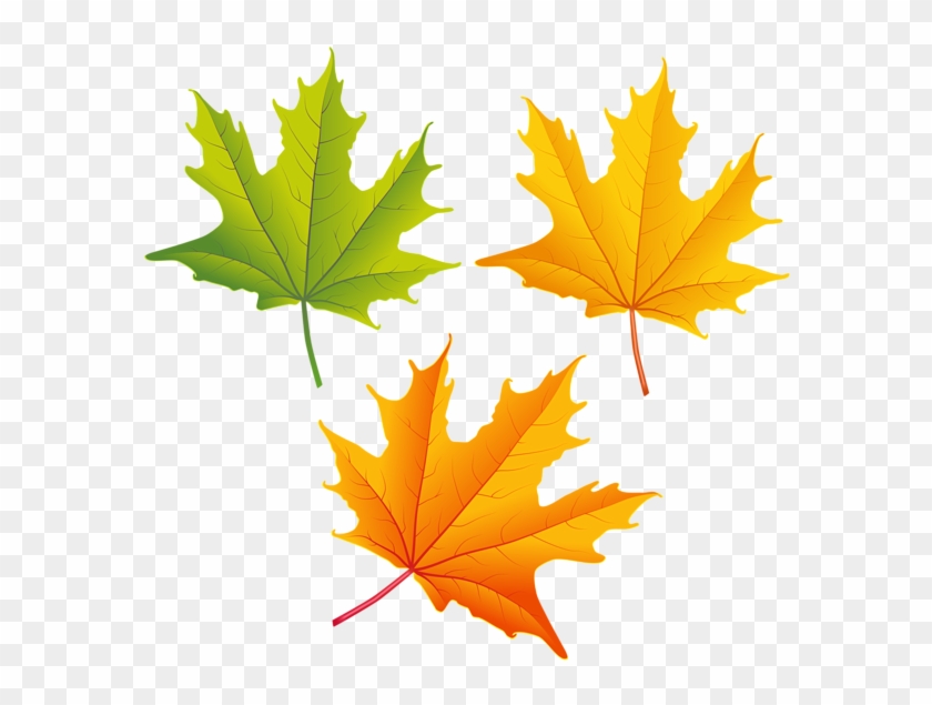 Set Of Autumn Leaves Png Clipart Image - Autumn Leaf Png Clipart #271913