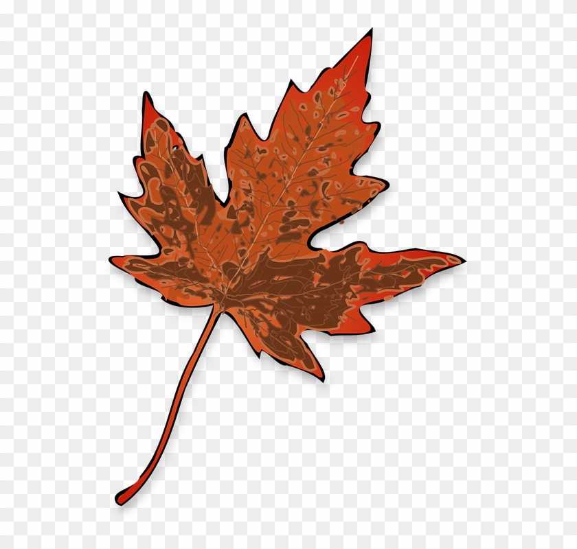Brown Fall Leaf Clip Art - Maple Leaf Clip Art #271920