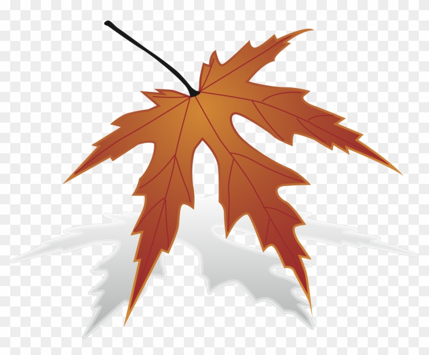Japanese Maple Maple Leaf Clip Art - Japanese Maple Maple Leaf Clip Art #271952