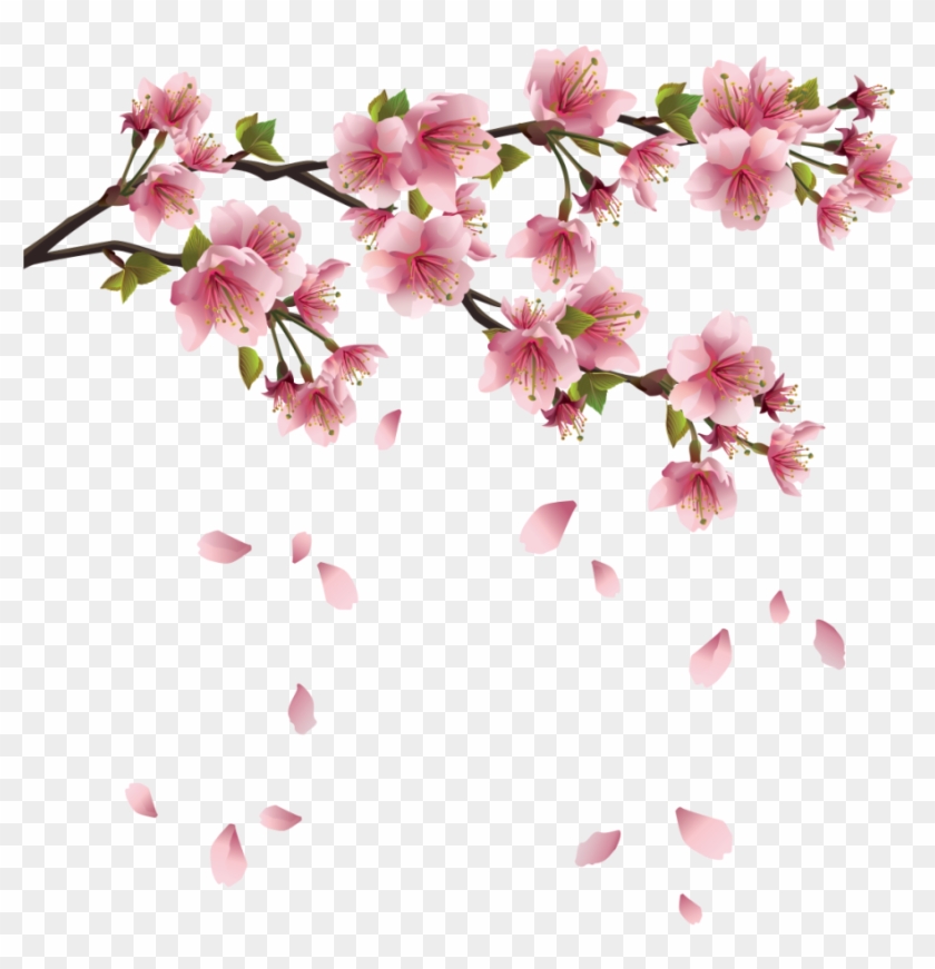 Sakura Blossom Pink - Cherry Blossom Png #271954