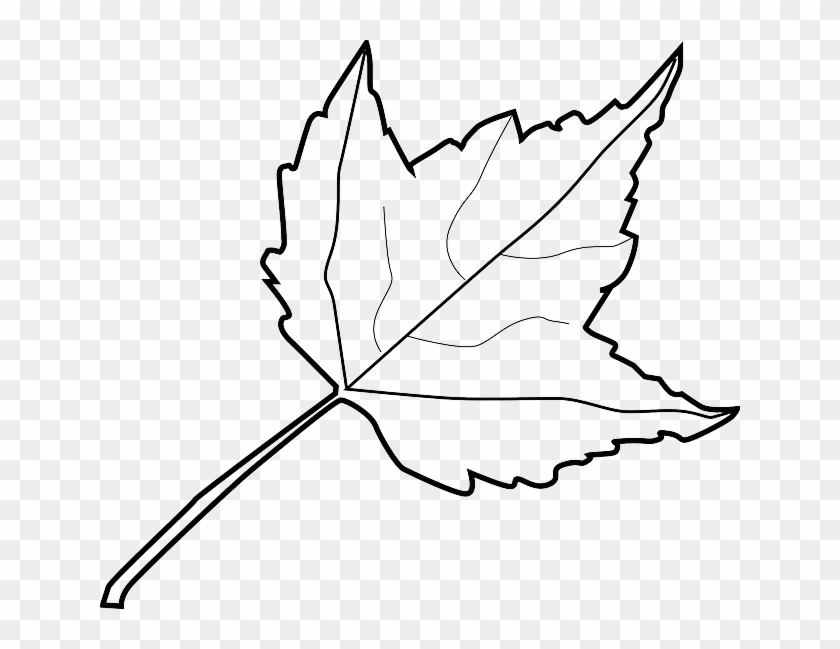 Explore Autumn, Clipart Black And White, And More - Outline Image Of Leaf #271971