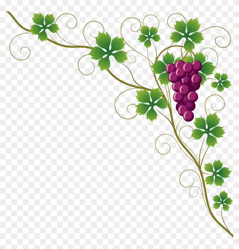 Common Grape Vine Grape Leaves Wine Clip Art - Grapes Border Png #271982