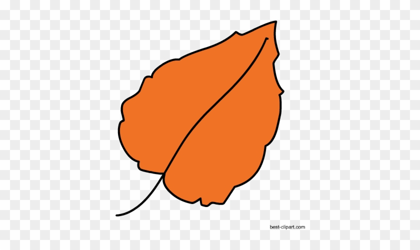 Orange Fall Leaf, Free Clip Art - Clip Art #271986