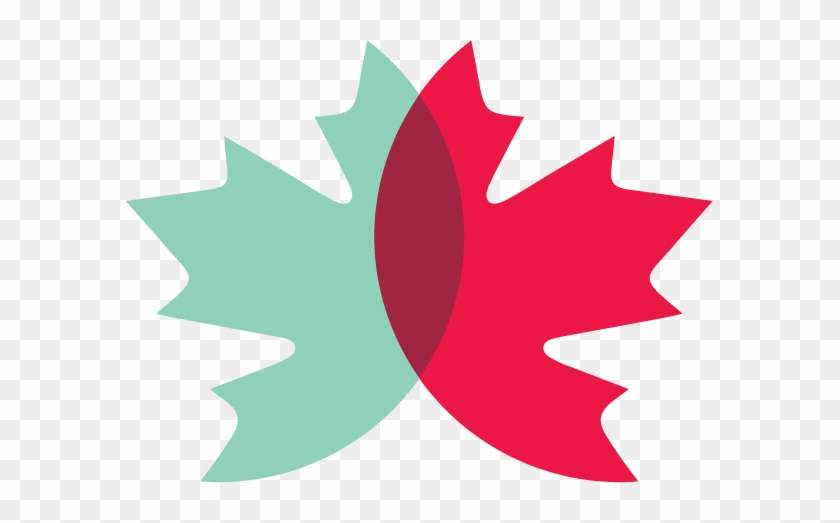 Canadian Immigrant Integration Program - Canadian Immigrant Integration Program #271995