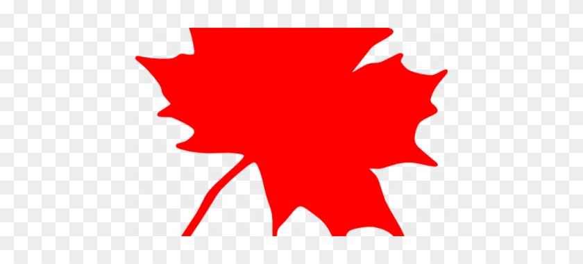 Maple Leaf Clipart Small Leaf - Maple Leaf Clip Art #272004