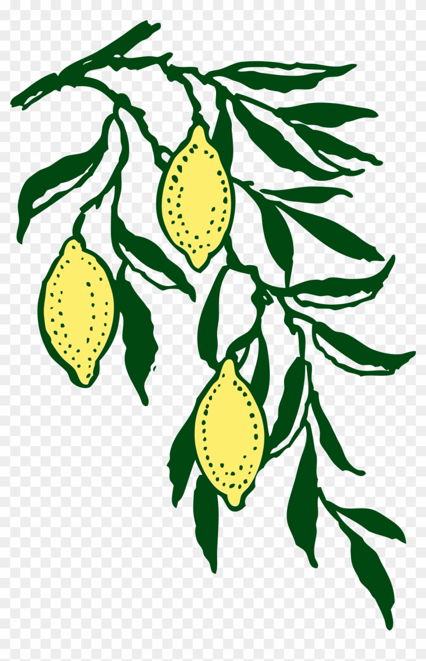 Free Vector Lemon Branch Clip Art - Lemon Branch Clip Art #272043