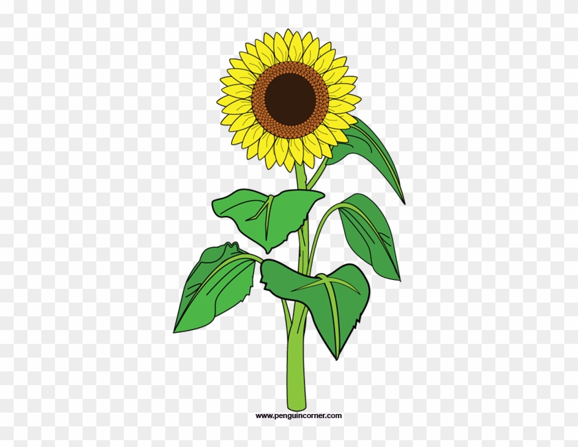 Sunflower Clip Art Free Clipart Images 2 Clipartbold - Clipart Sunflower #272046