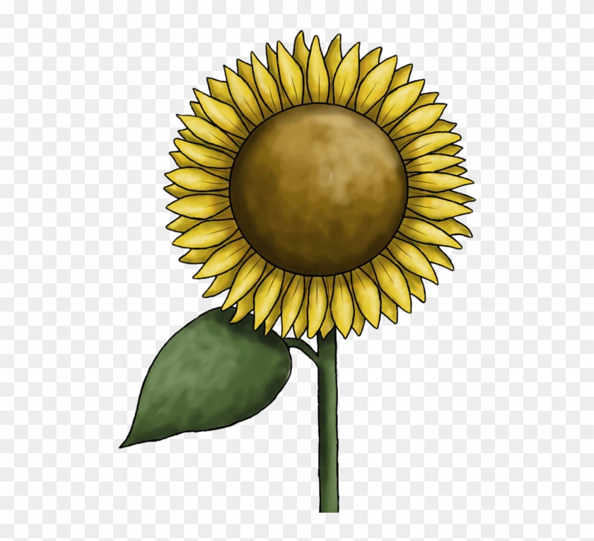 Sunflower Free To Use Clip Art - Rosette Png #272060