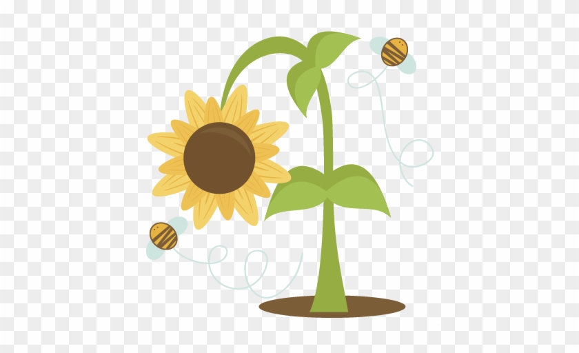 Cute Sunflower Clipart - Miss Kate Bee Clipart #272066