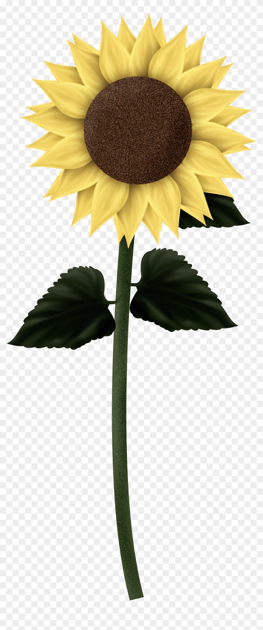 Sunflowers - Transparent Sunflower #272078