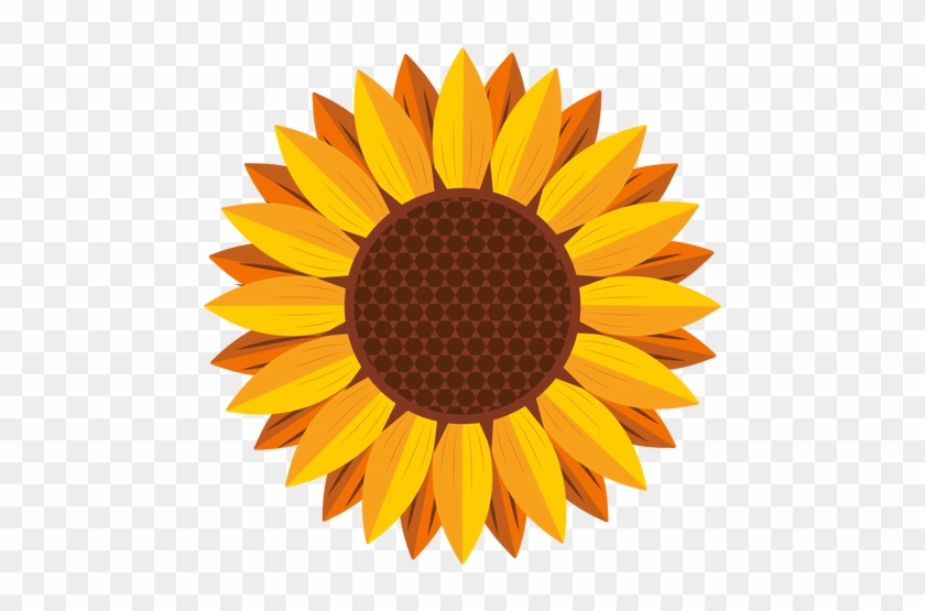 How To Draw A Sunflower Really Easy Drawing Tutorial - Sunflower Vector #272089