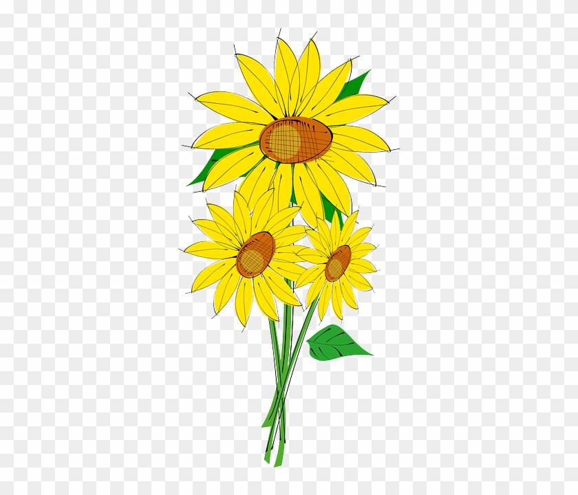 Plants, Sun, Flower, Flowers, Cartoon, Border, Free - Sunflower Clip Art #272148