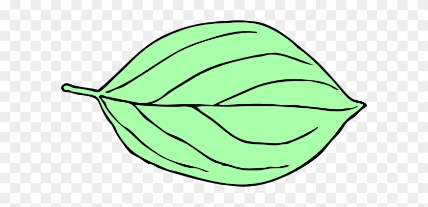 Another Light Green Oval Leaf Clip Art At Clker - Oval Leaf #272175