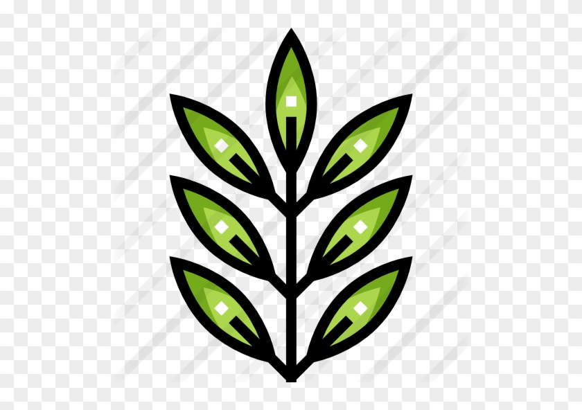 Fern - Fern #272216