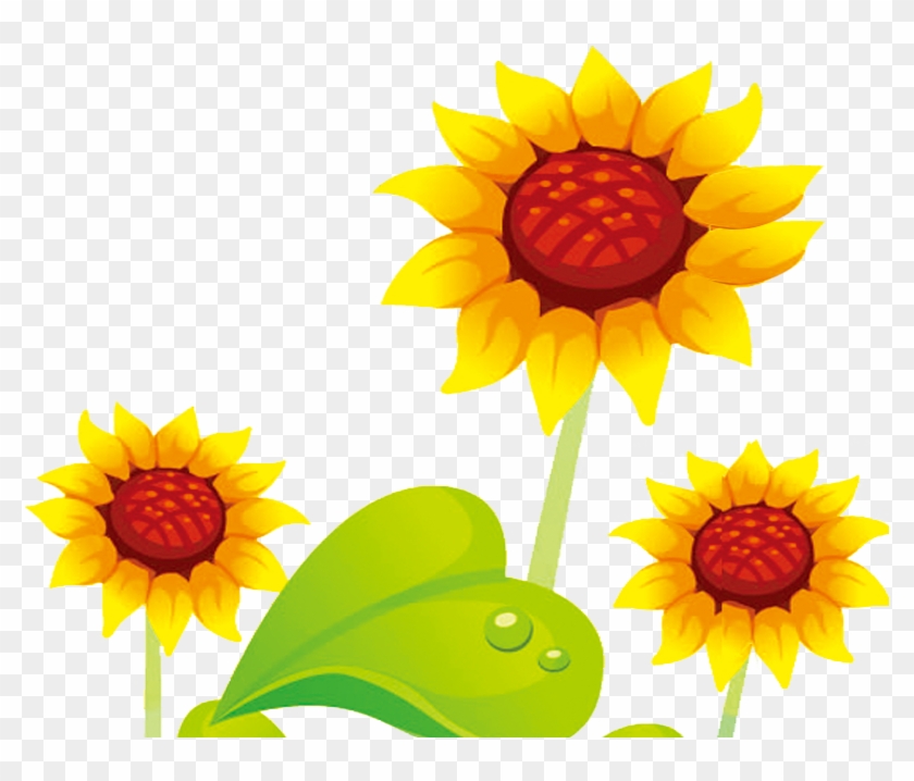 Common Sunflower Cartoon - Common Sunflower Cartoon #272296