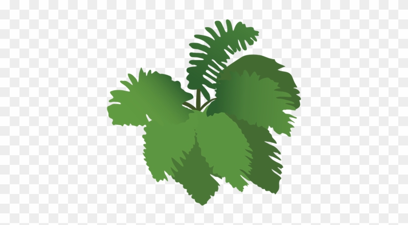 Normal Ian Symbol Fern - Illustration #272261