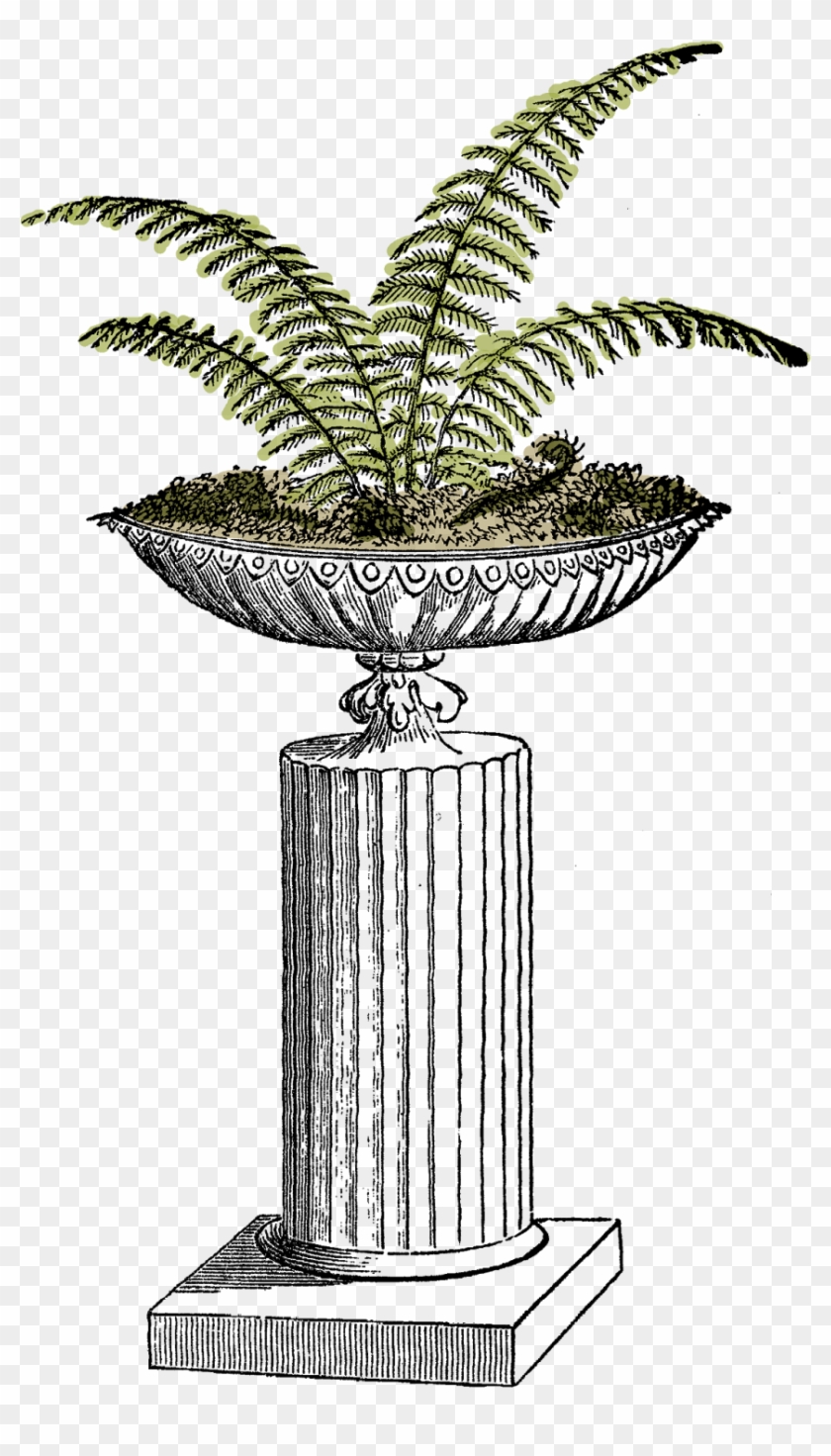 I Created This Digital Fern Download From A Vintage - Clip Art #272265